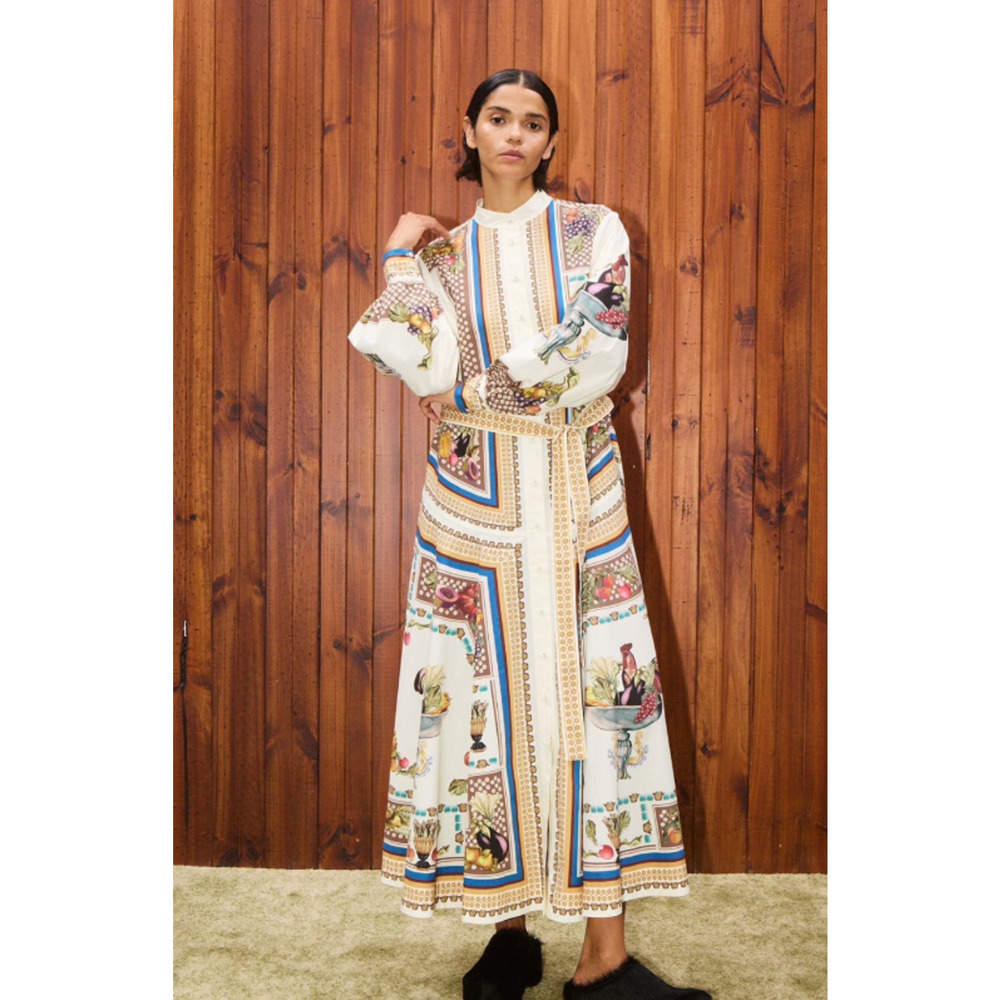 Alemais mercado shirtdress US 6